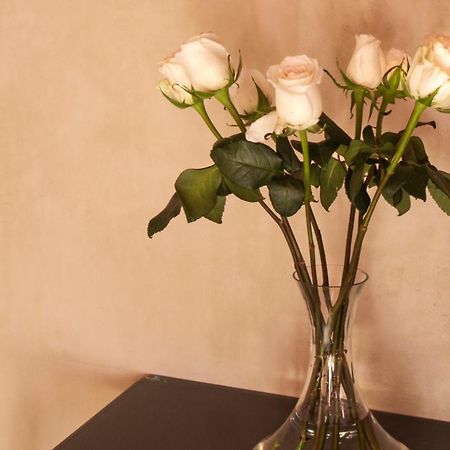 Rosas & Xocolate Boutique Hotel And Spa Merida, A Member Of Design Hotels Kültér fotó